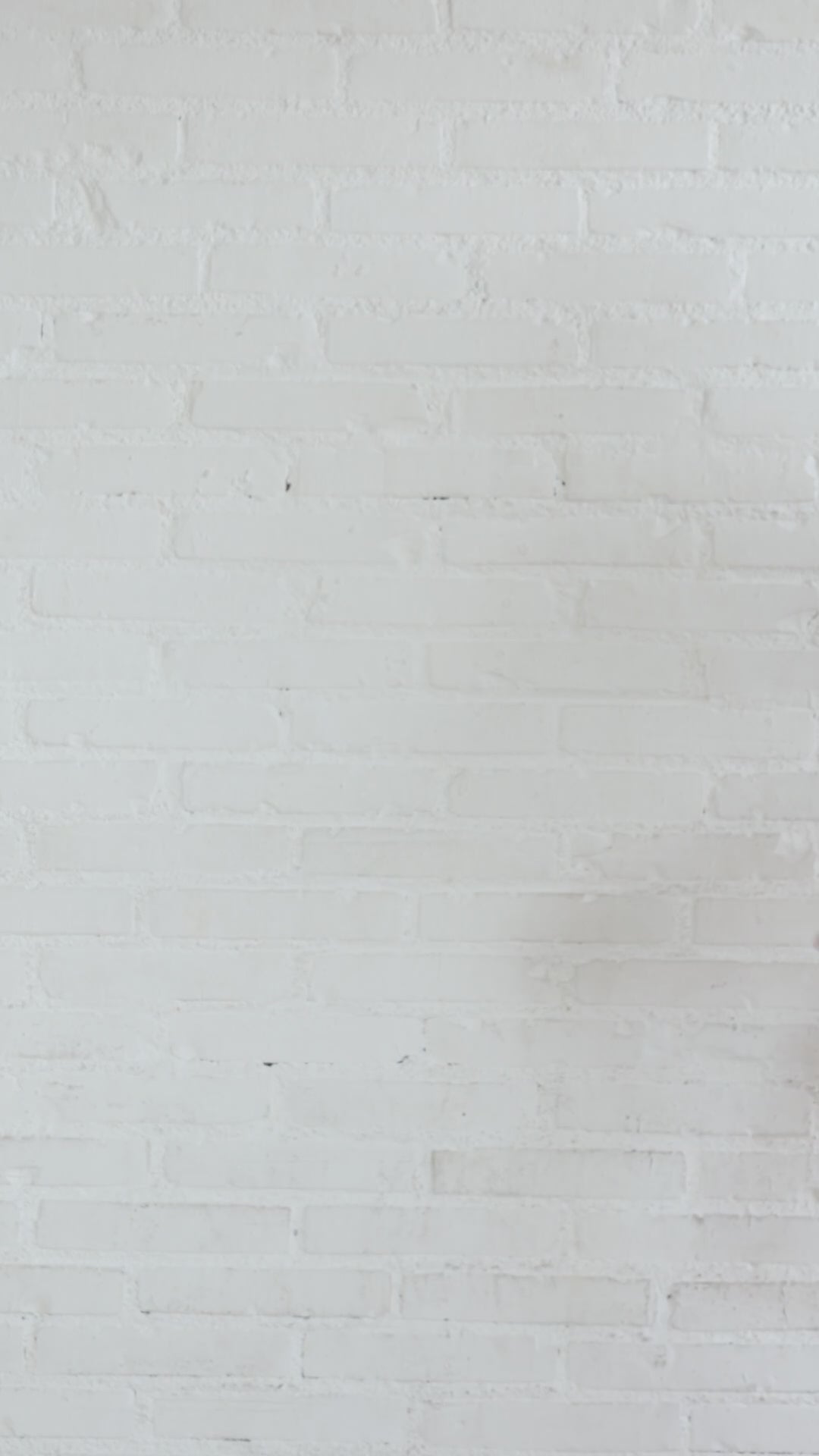 Vídeo del bikini Serpentia de Giebelle con estampado snake print y fornitura central serpiente